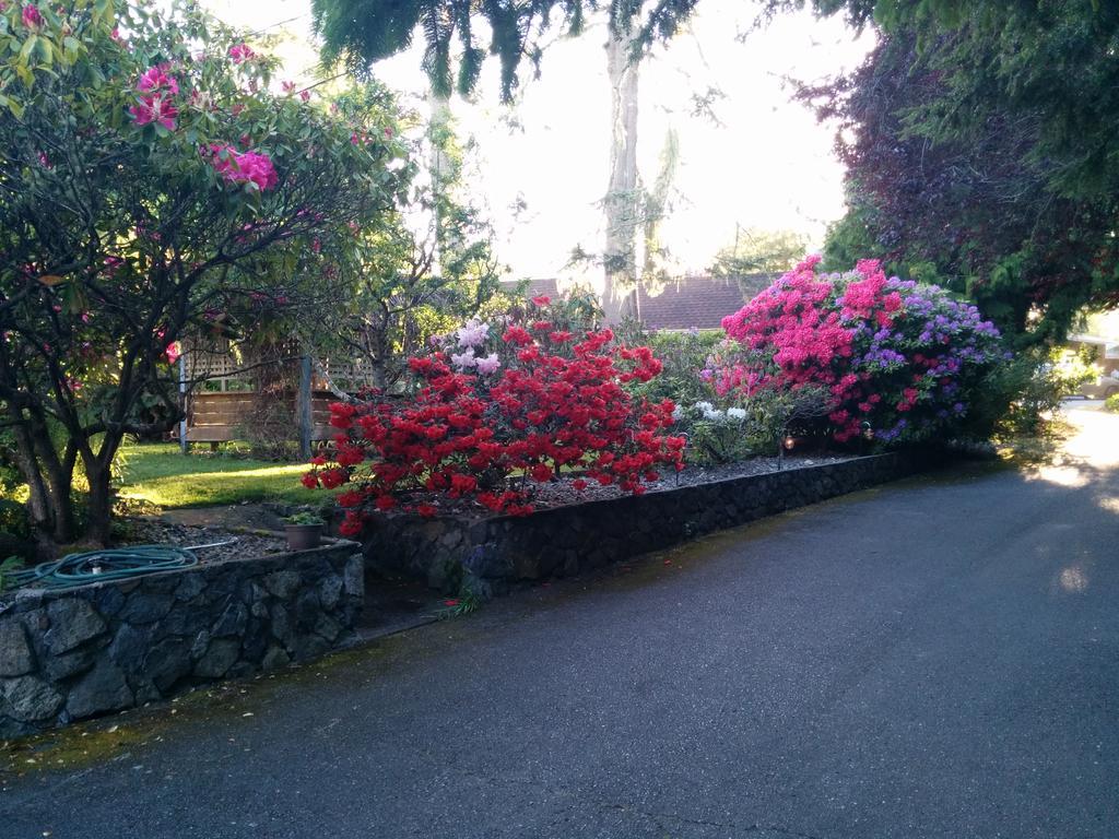 Salty Towers Ocean Front Cottages Sooke Buitenkant foto